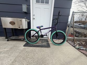 2026 Sunday Scout + Extras