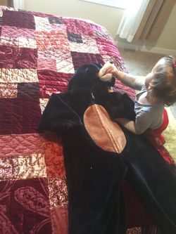 Size 2-3 dog Halloween costume