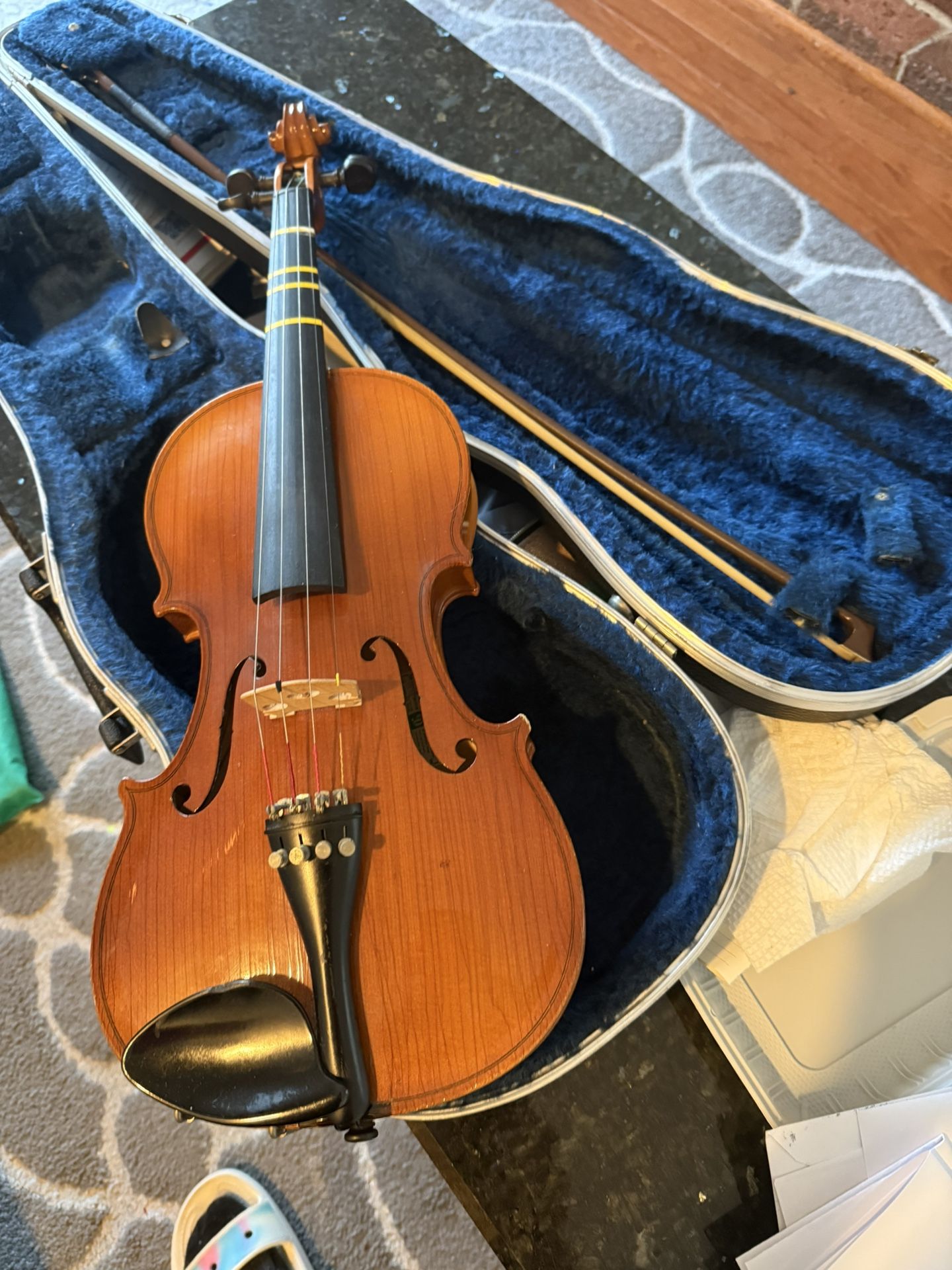 Violin