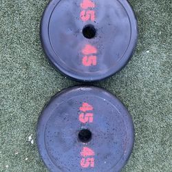 45lbs Weight Plates