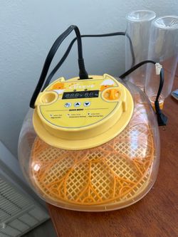 Incubator
