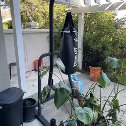 Everlast Punching Bag and UFC Stand Combo