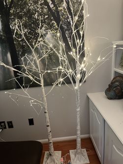 Decorative Light Up Birch Burch Trees Plug In