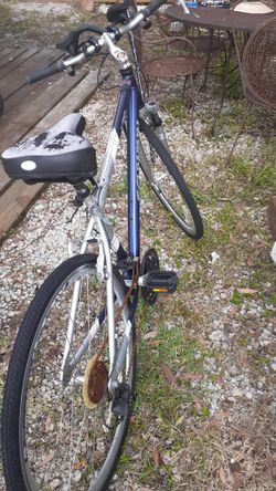 Bicycle - Schwinn Quality