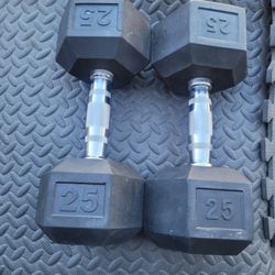 25lbs Dumbells Weights