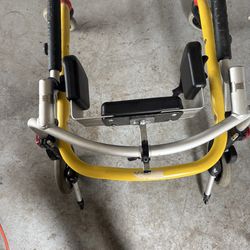 Children’s Walker FREE