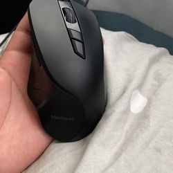 Mouse