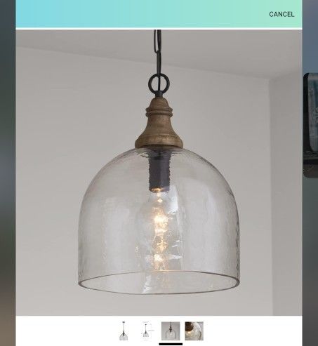 NEW Capital Lighting Pendant Light