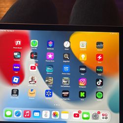 iPad Air 2