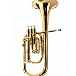 LOOKING FOR A CHARCHETA/TUBA PLAYER FOR A GRUPO I WANT TO START❗️❗️❗️