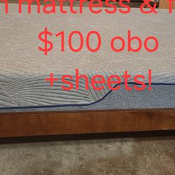 Twin Bed w/ Mattress & Sheets 
