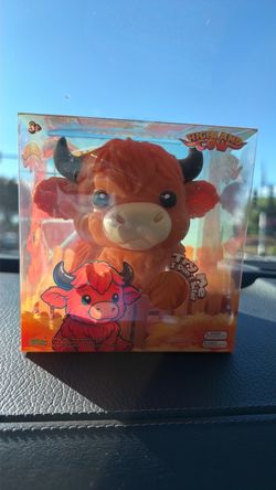 Squishy Highland cow 🐮🧡❤️