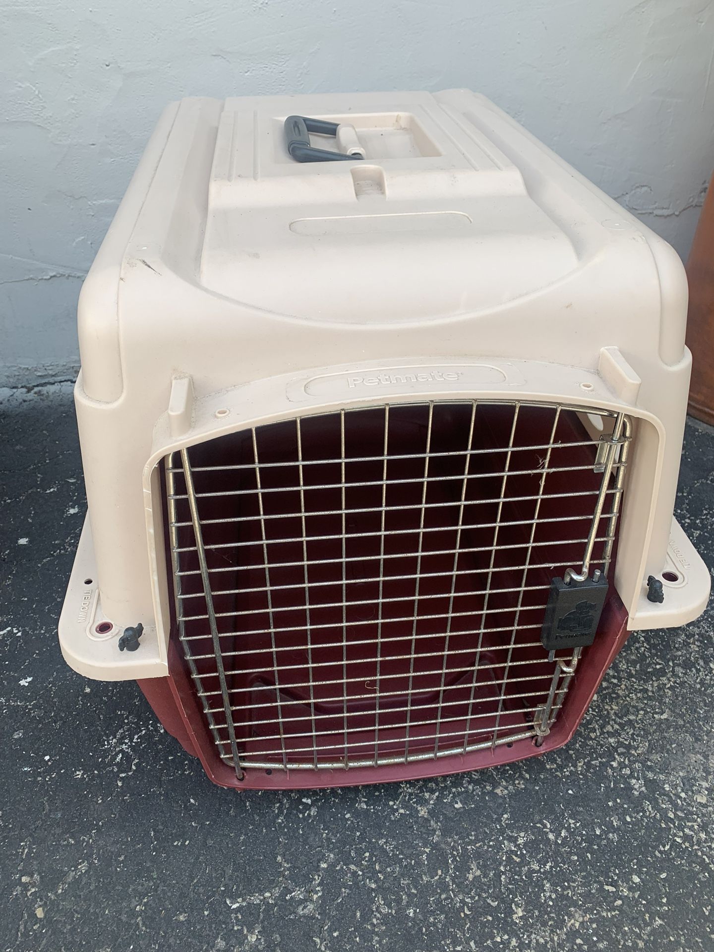Pet Carrier cage plastic Petmate / Medium 27 W x 20 D x 21 H