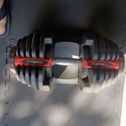 Adjustable Dumbbells