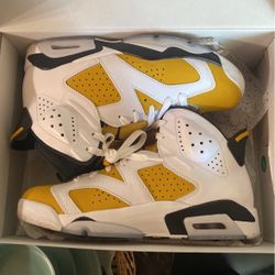 Jordan Retro 6