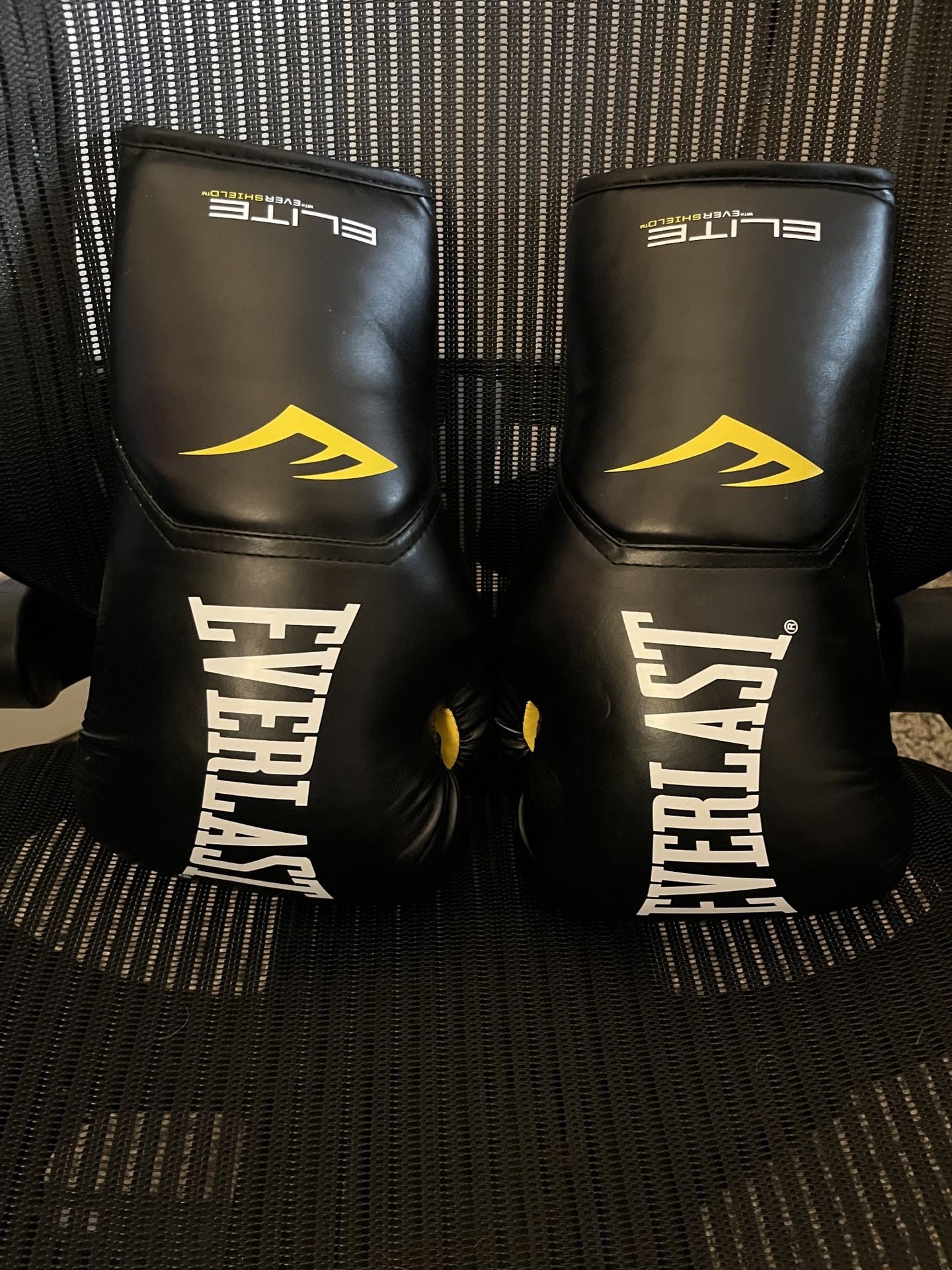Everlast Elite Boxing Gloves 14oz
