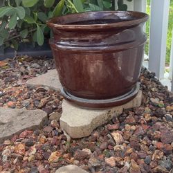 Pot For Plants 