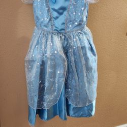 Cinderella Costume