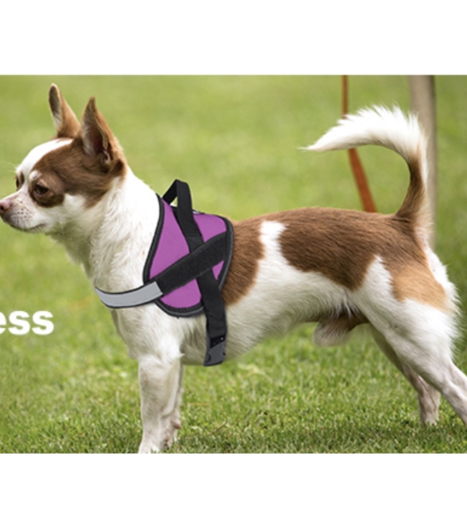 Dog Harness for Small Dogs No Pull No Choke,Reflective Adjustable Straps