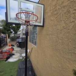 Lifetime Basketball Hoop
