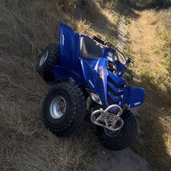 RAPTOR 80! ( TRADES ONLY)
