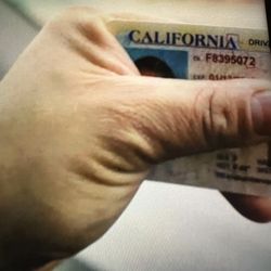 Need Held —— 2025 Renovación 