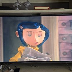 65 Inch Samsung Television