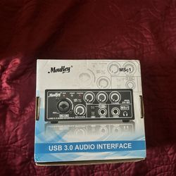 Monkey Audio Interface 