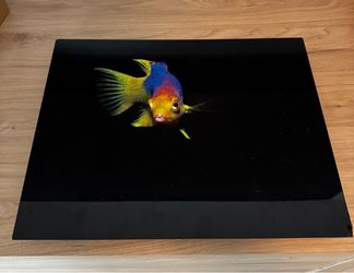 Fish Metal Wall Art
