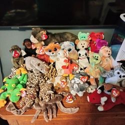 Beanie Baby Collection!!