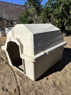 Dog House