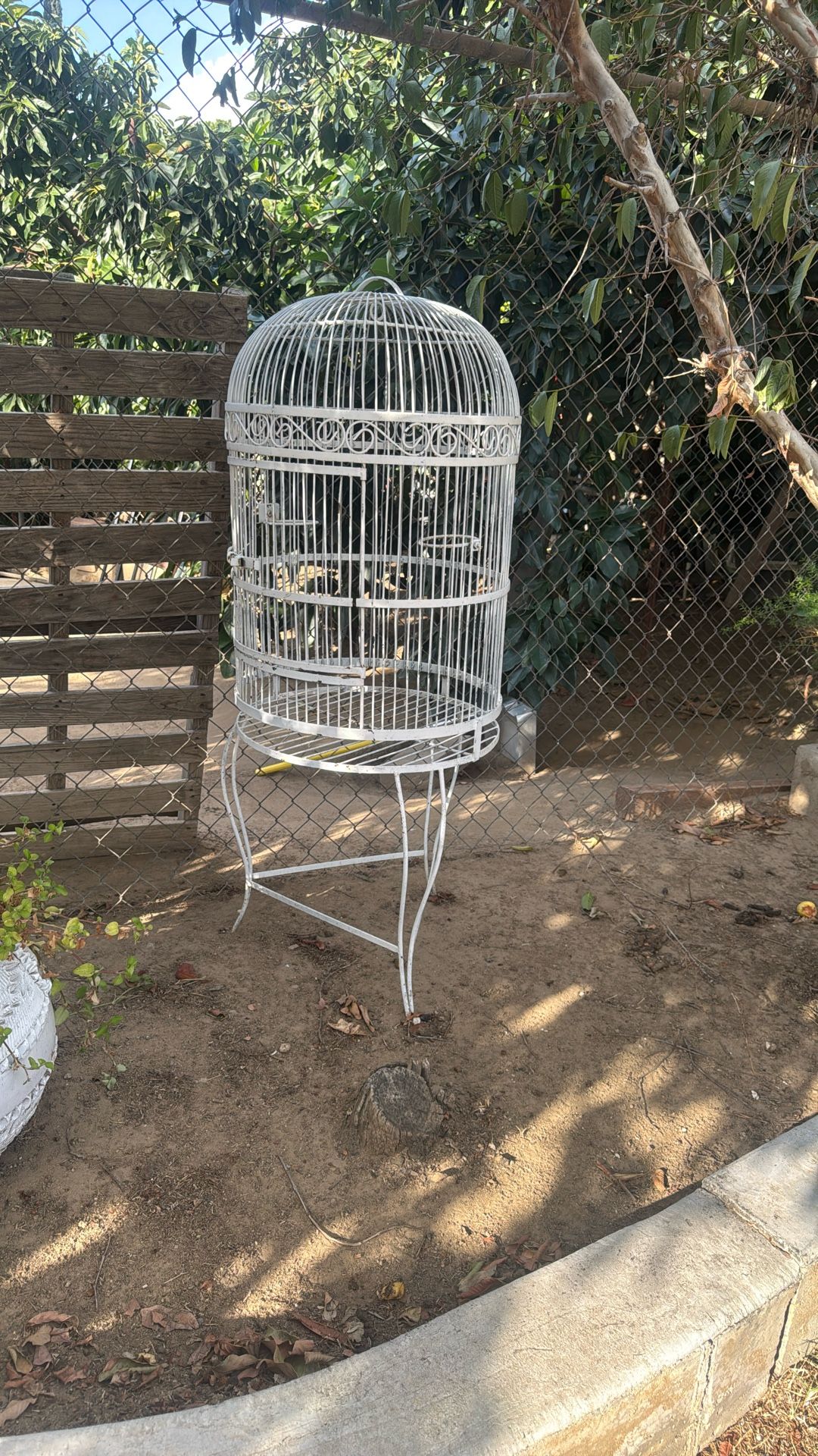Bird Cage