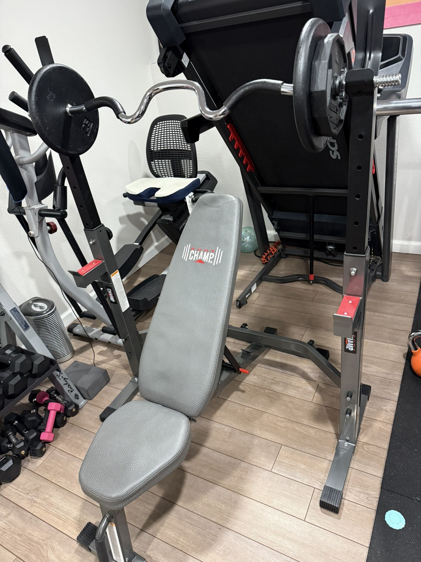 Weight Bench, Squat Rack, Curl Bar And Weights