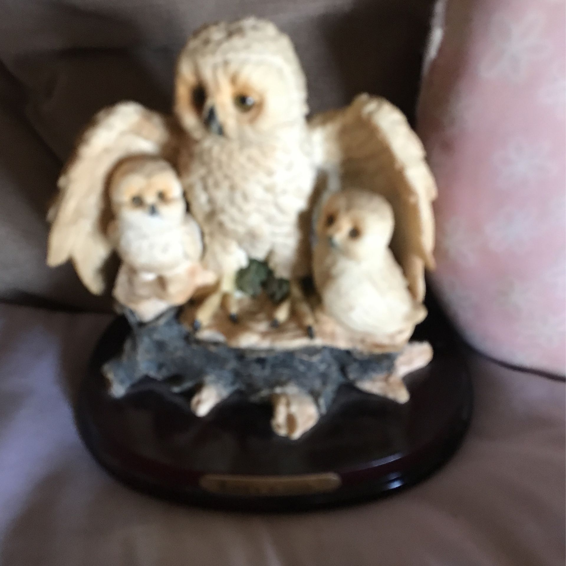 Mom And Two Baby Owls
