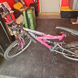 Free Bicycle