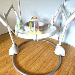 Skip Hop Baby Activity Play Bouncer