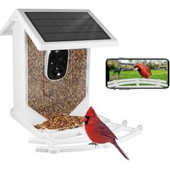 Bird Feeder With Camera 