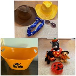Seasonal Costume Dress up Bin Party Bundle