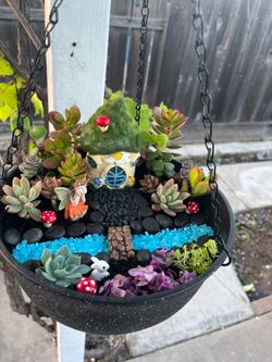 Mini fairy garden  in a hanging basket