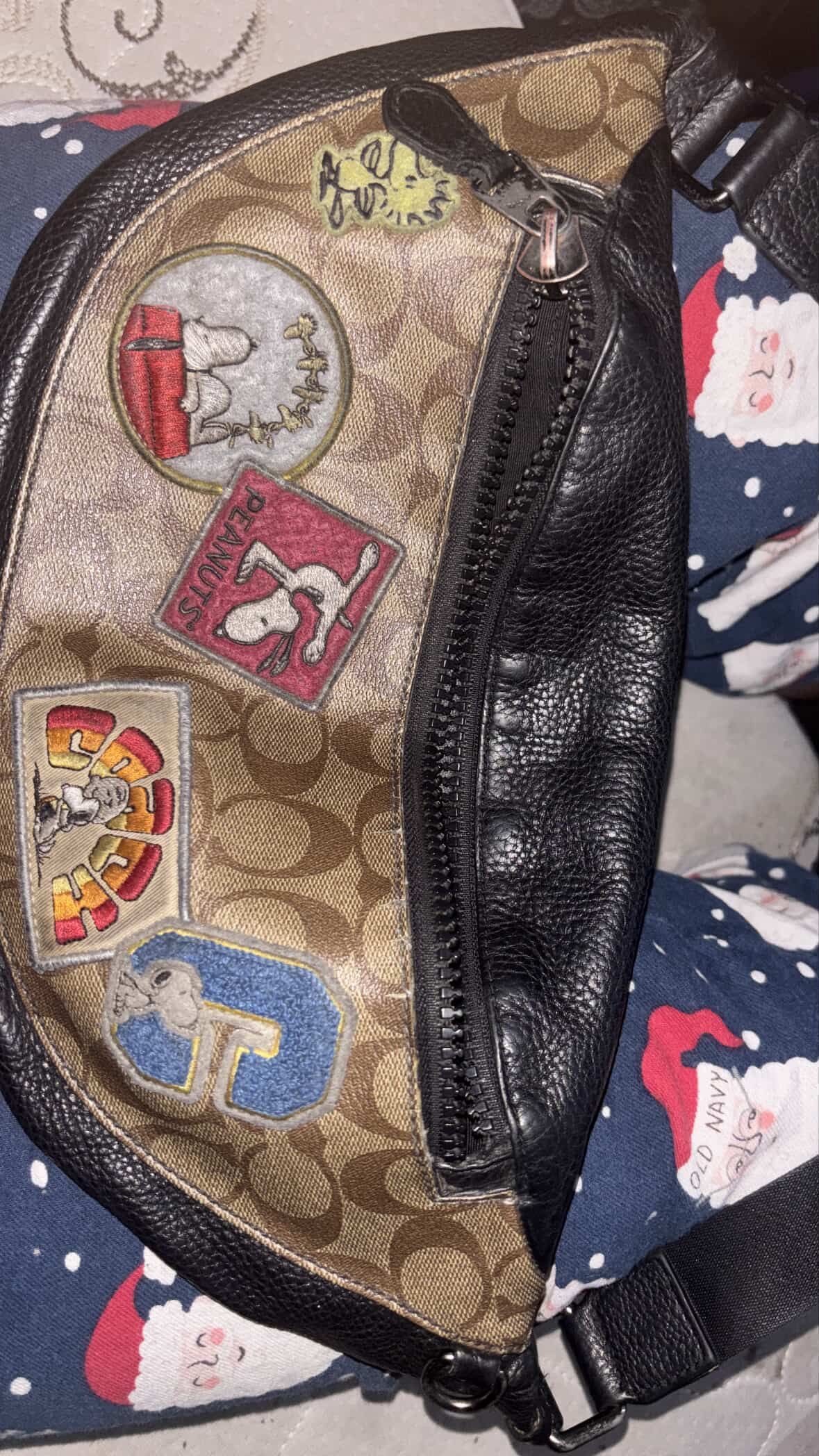 Snoopy X Coach Bag