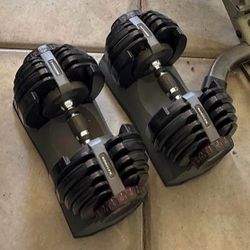 Bowflex 552 Adjustable Dumbbells 