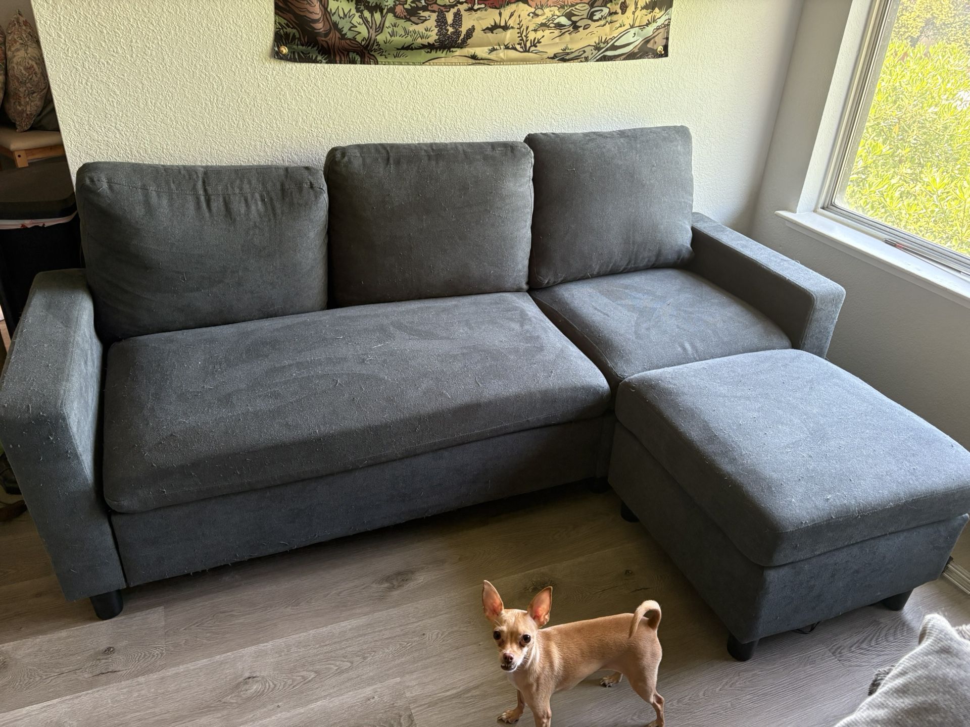 Grey Couch, 2 Cushion, 78” Length, 28” Height