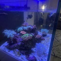 80 gallons For sale