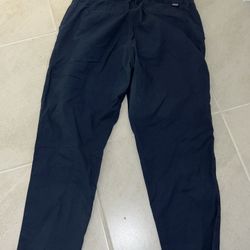 Patagonia Pants 