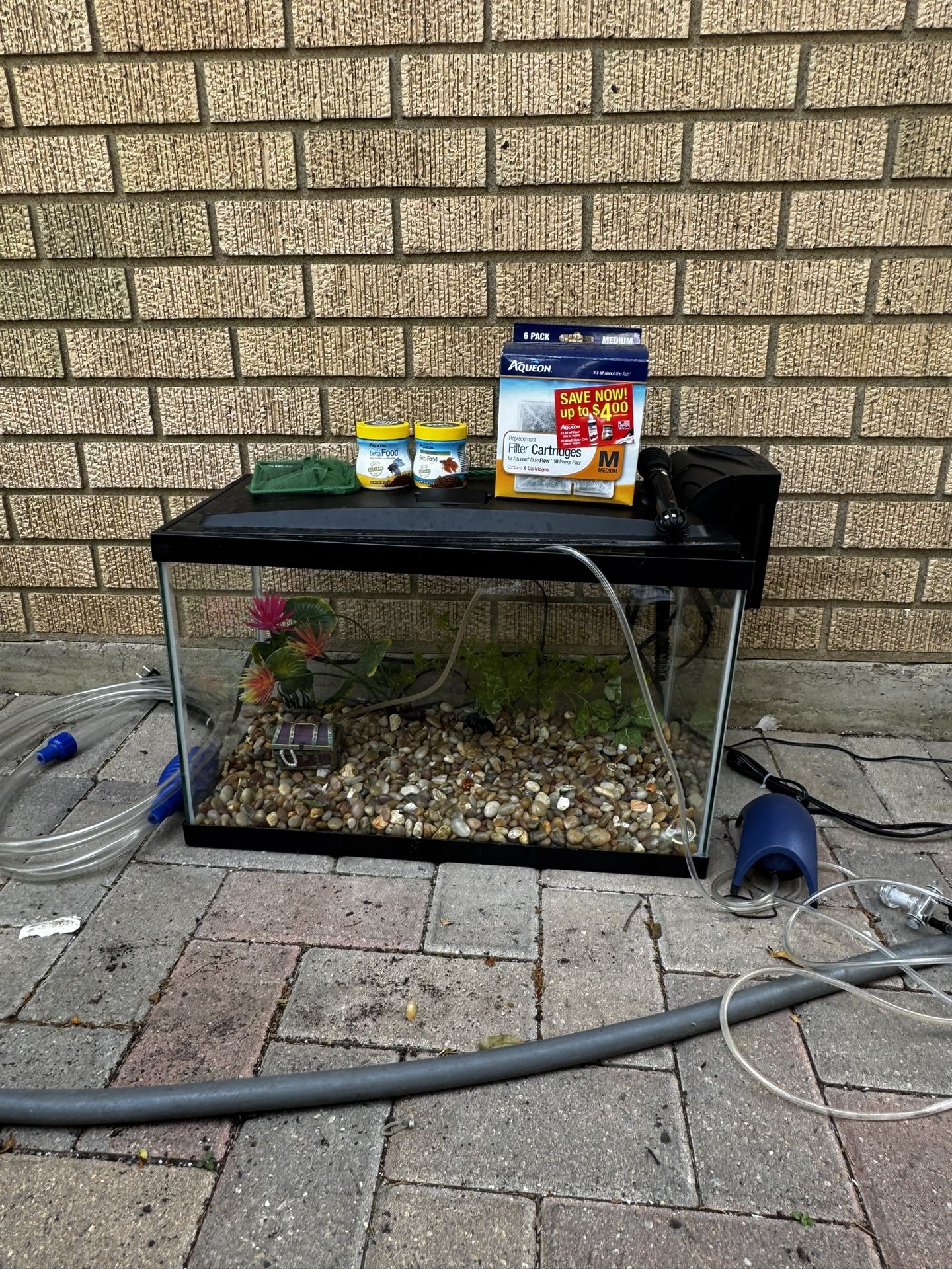 10 Gallon Fish Tank