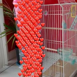 Bird House