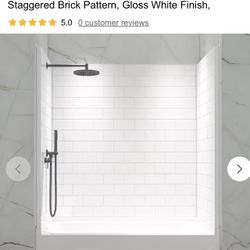 Woodbridge Shower Wall Panel BTH-6032-WH64 (60X32X64)