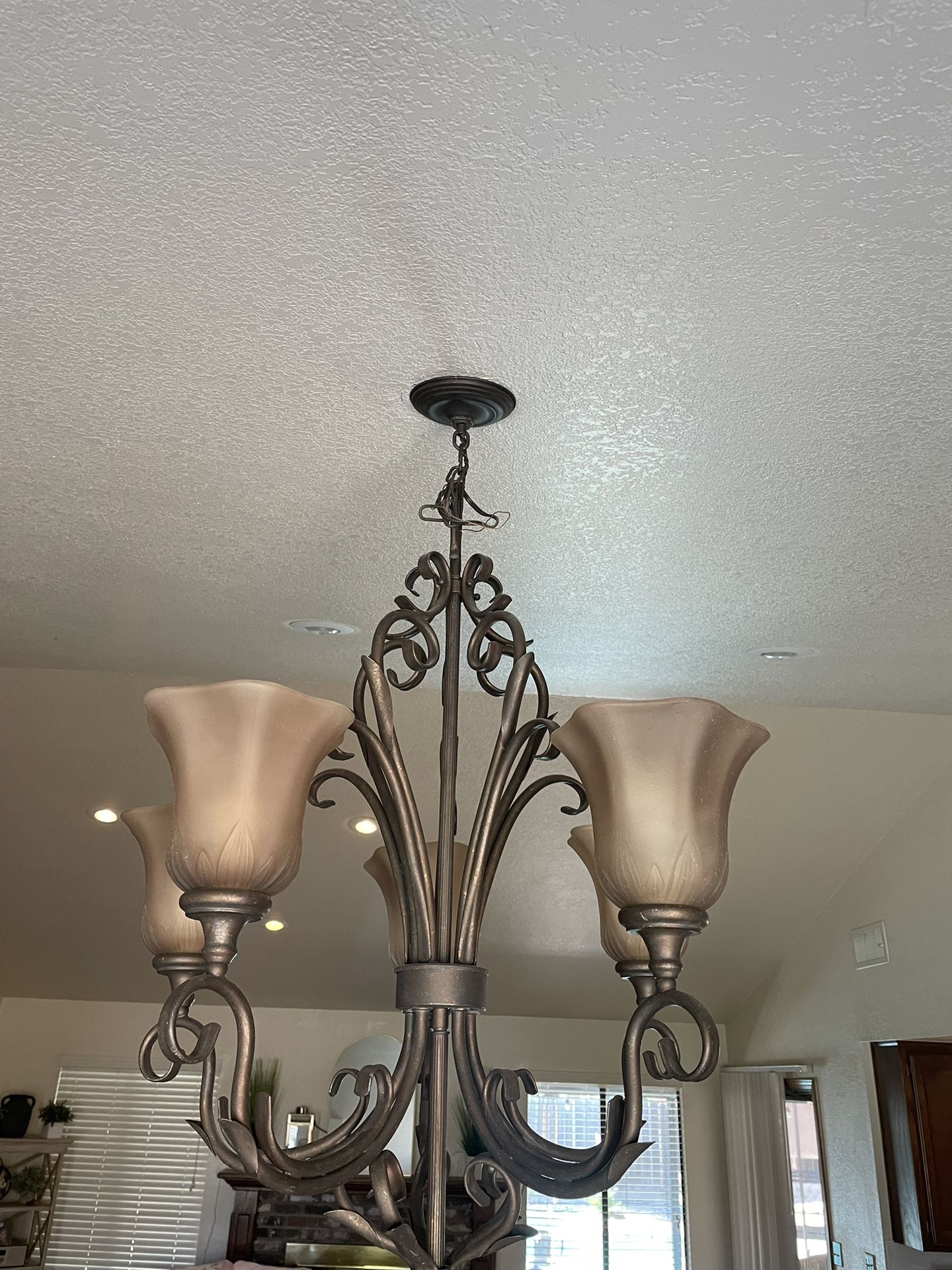 Rustic Chandelier (large)