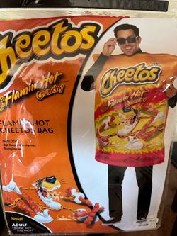 Hit Cheetos costume