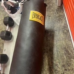 Everlast Heavy Bag 